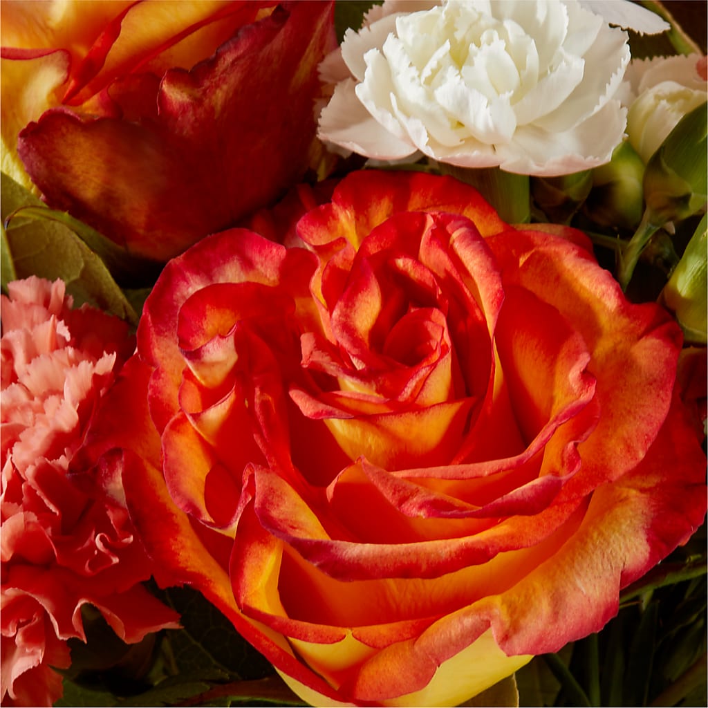 Apricot Glow Bouquet –  Jose Arrangements, Los Angeles CA