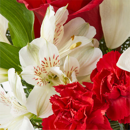Holiday Season Bouquet –  Jose Arrangements, Los Angeles CA