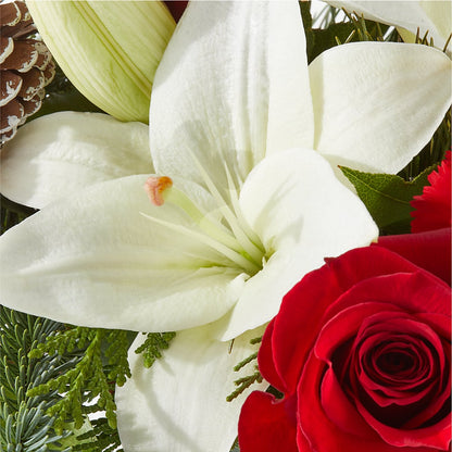 Oh So Jolly Bouquet –  Jose Arrangements, Los Angeles CA