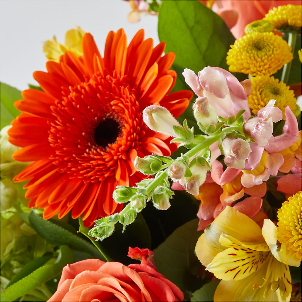 Autumn Sunshine Bouquet –  Jose Arrangements, Los Angeles CA