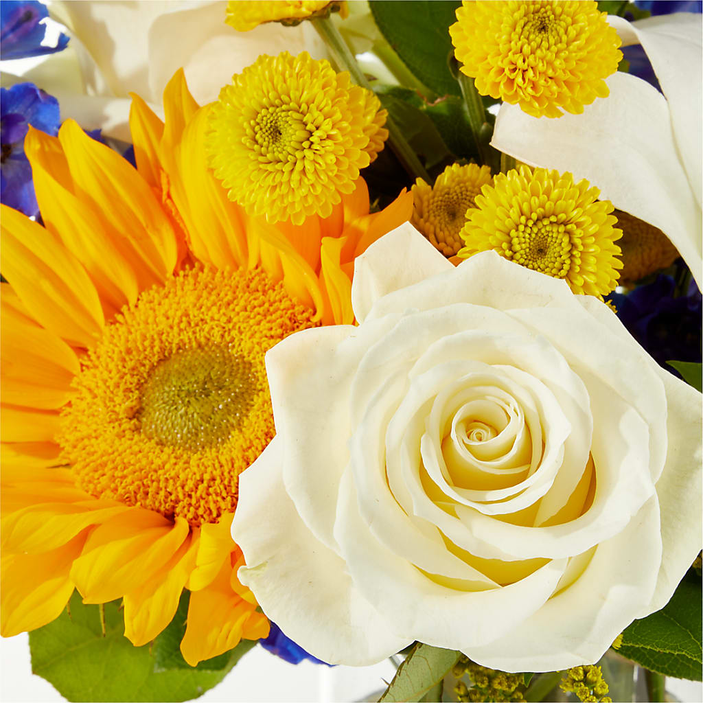 Stargazing Bouquet –  Jose Arrangements, Los Angeles CA