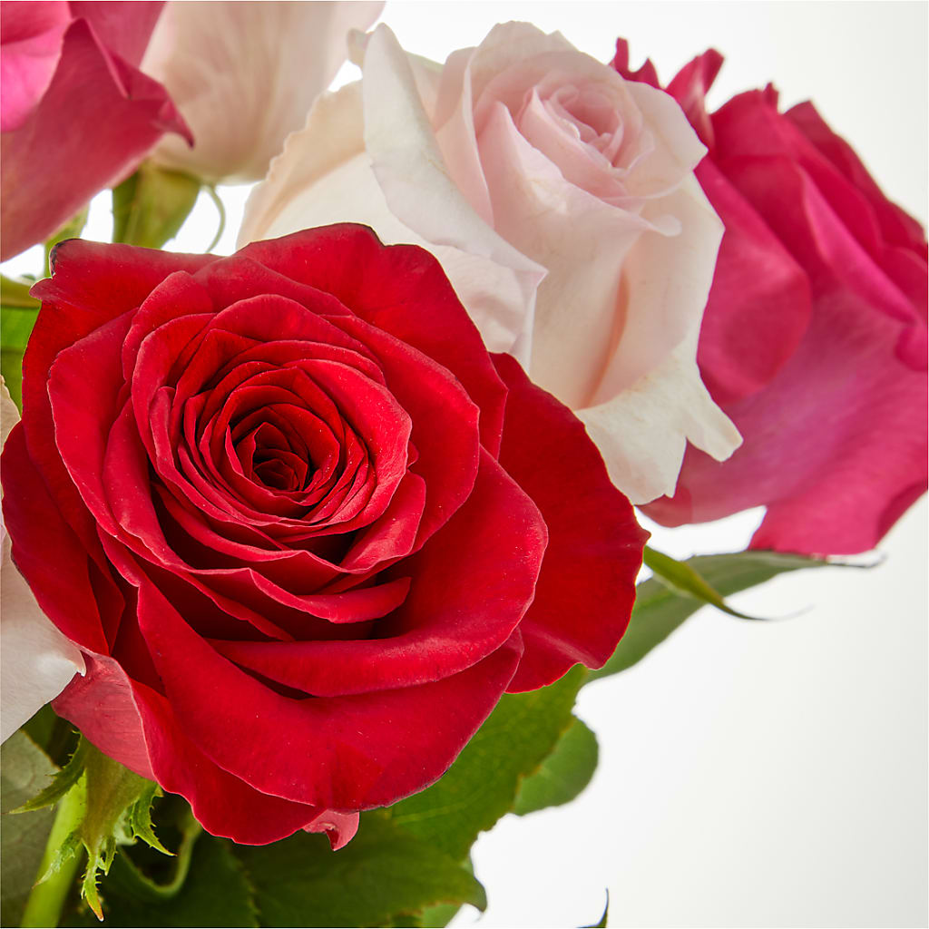 Charming Rose Bouquet –  Jose Arrangements, Los Angeles CA