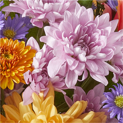 Countryside Bouquet –  Jose Arrangements, Los Angeles CA