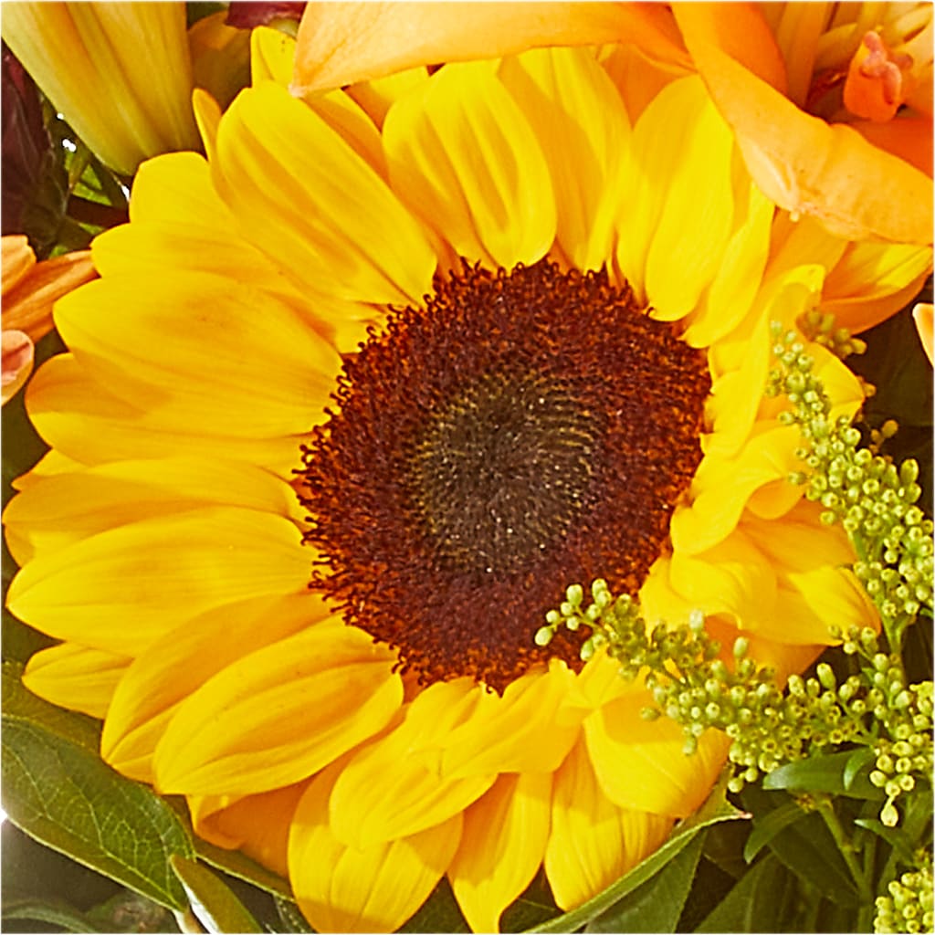 Seasons Change Bouquet –  Jose Arrangements, Los Angeles CA