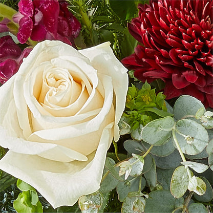 Cranberry Fizz Bouquet –  Jose Arrangements, Los Angeles CA