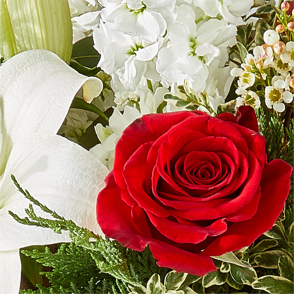 Twinkle Lights Bouquet –  Jose Arrangements, Los Angeles CA