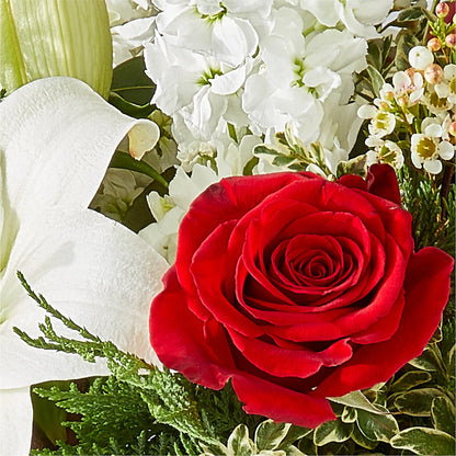 Twinkle Lights Bouquet –  Jose Arrangements, Los Angeles CA