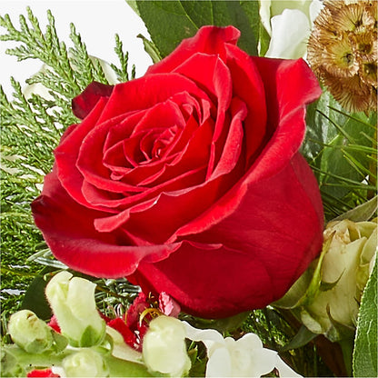 Deck the Halls Bouquet –  Jose Arrangements, Los Angeles CA