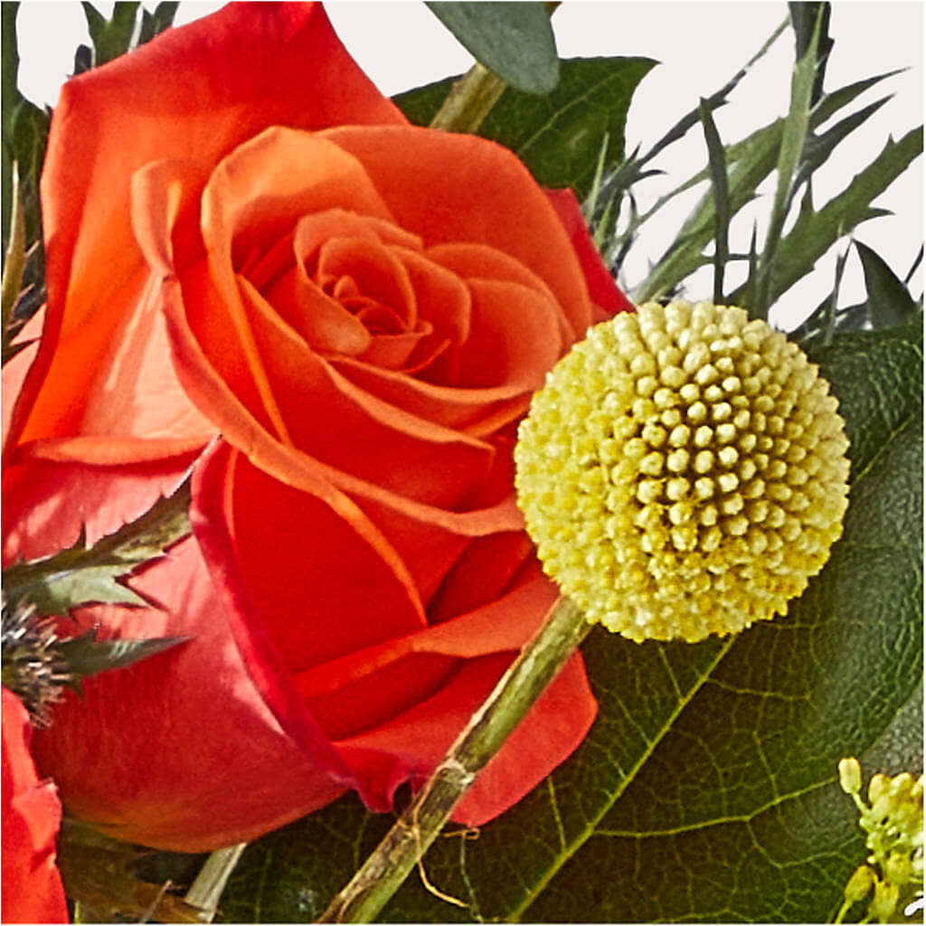 Disco Bouquet –  Jose Arrangements, Los Angeles CA