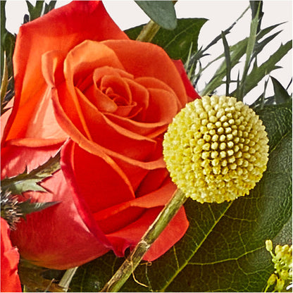 Disco Bouquet –  Jose Arrangements, Los Angeles CA