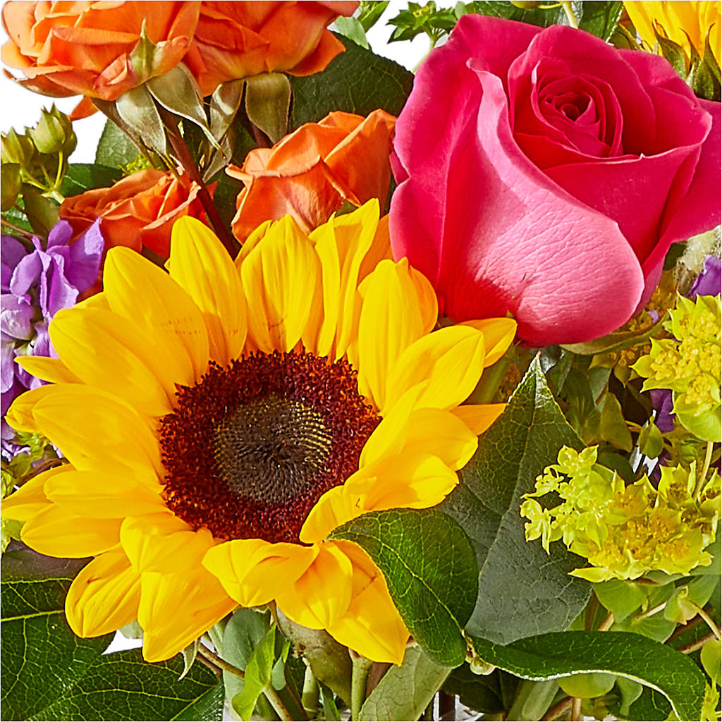 Vibrant Greetings Bouquet –  Jose Arrangements, Los Angeles CA