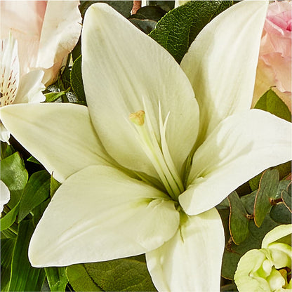 Ballet Slippers Bouquet –  Jose Arrangements, Los Angeles CA