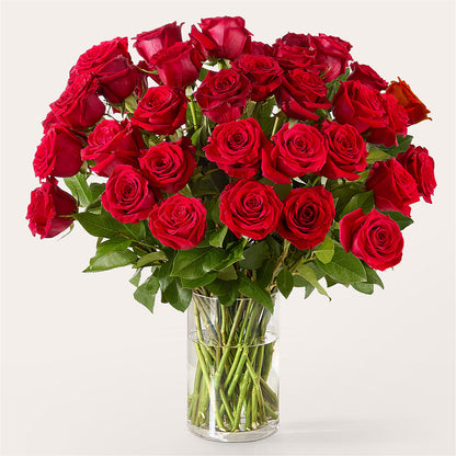 The One Red Rose Bouquet –  Jose Arrangements, Los Angeles CA