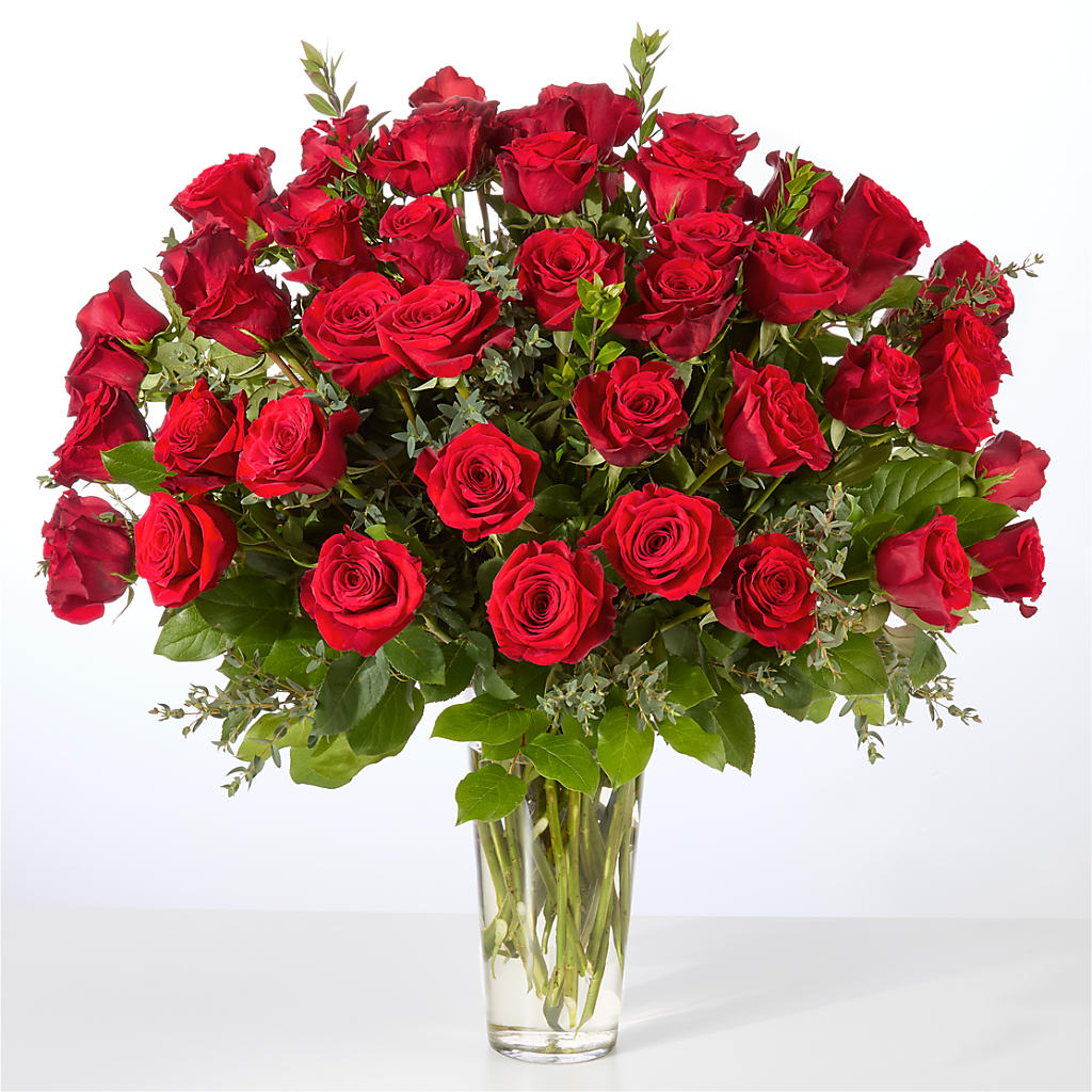 Forever Yours Fifty Stem Red Rose Bouquet –  Jose Arrangements, Los Angeles CA