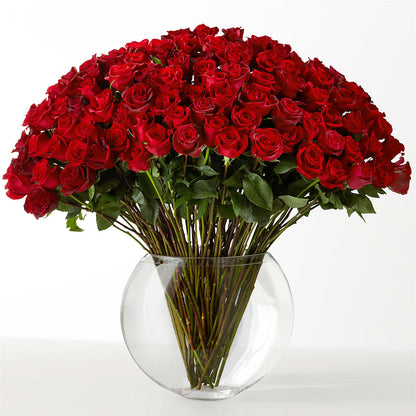 The Idealist –  Jose Arrangements, Los Angeles CA