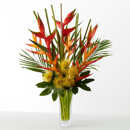 The Drama –  Jose Arrangements, Los Angeles CA