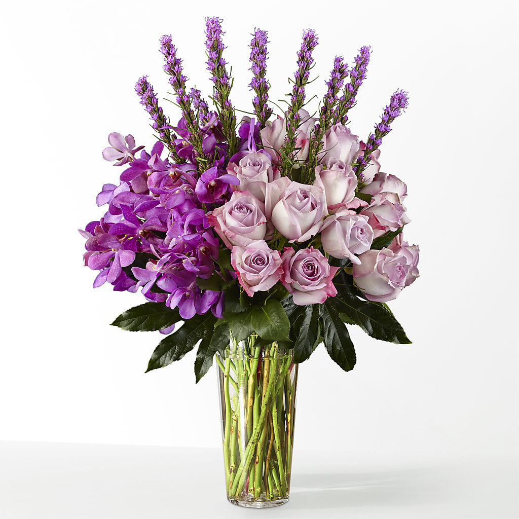 The Maximalist –  Jose Arrangements, Los Angeles CA