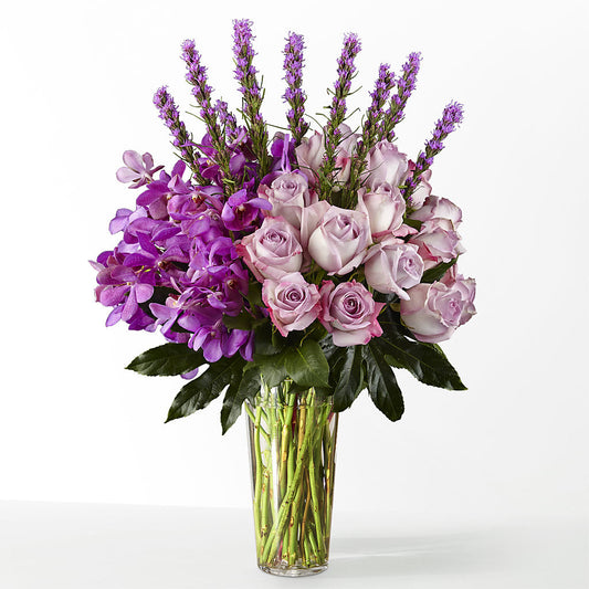 The Maximalist –  Jose Arrangements, Los Angeles CA