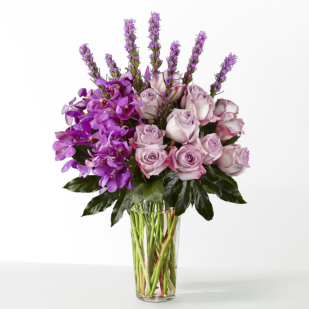 The Maximalist –  Jose Arrangements, Los Angeles CA