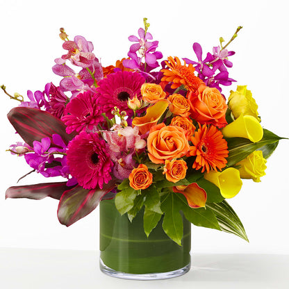 The Mosaic –  Jose Arrangements, Los Angeles CA