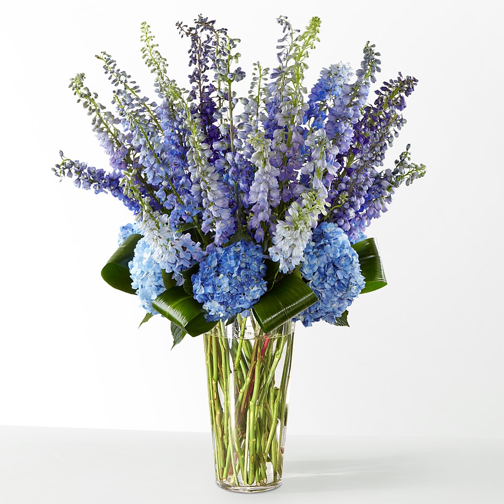 The Editorial –  Jose Arrangements, Los Angeles CA