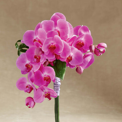 Glorious Bouquet –  Jose Arrangements, Los Angeles CA