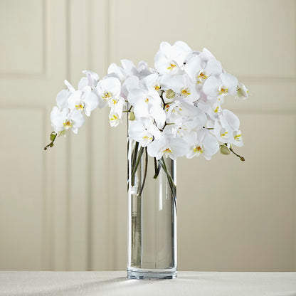 White Phalaenopsis Bouquet –  Jose Arrangements, Los Angeles CA